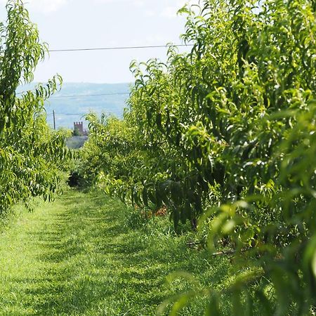 Agriturismo Fior Di Maggio Pescantina Eksteriør billede