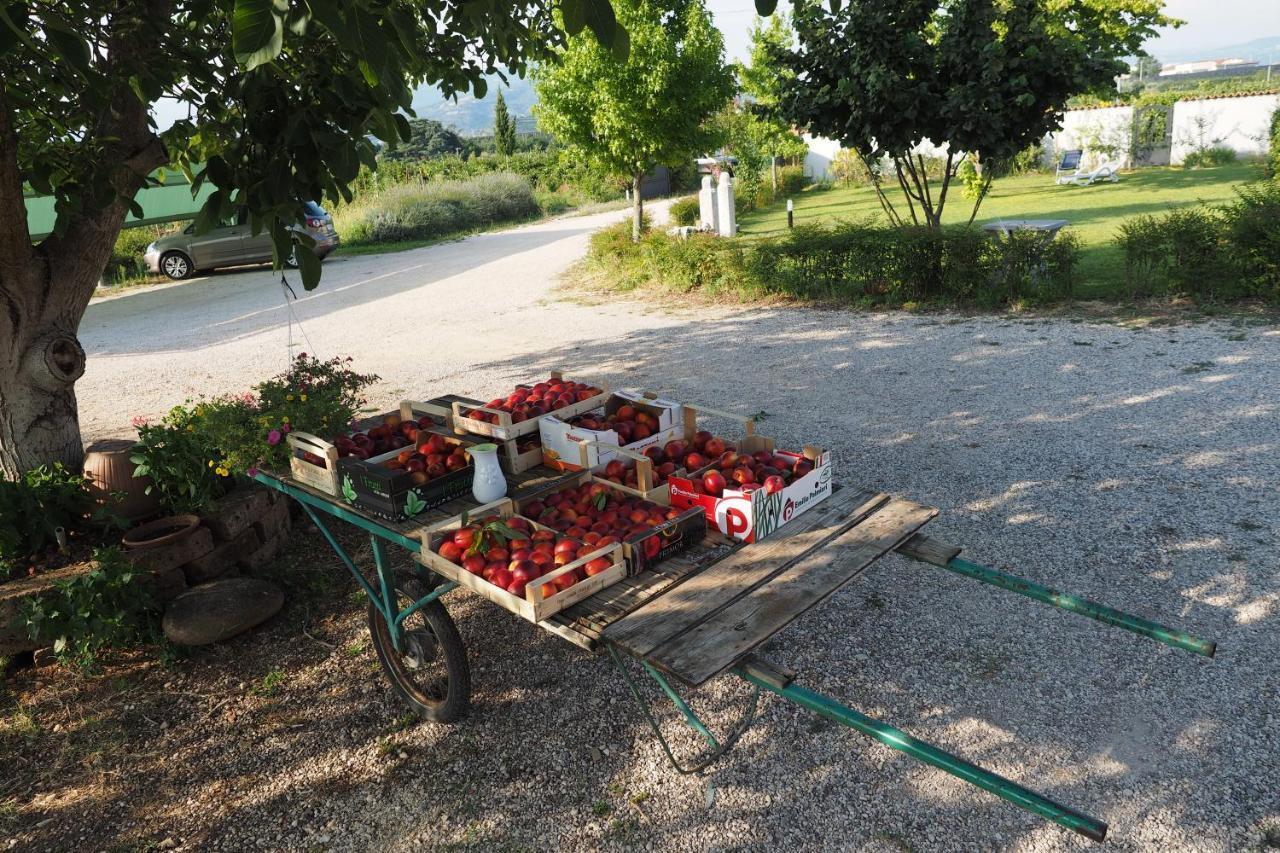 Agriturismo Fior Di Maggio Pescantina Eksteriør billede