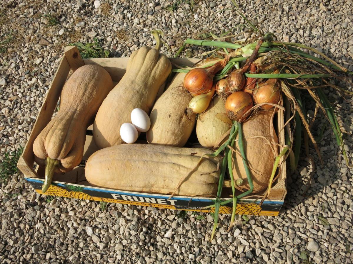 Agriturismo Fior Di Maggio Pescantina Eksteriør billede