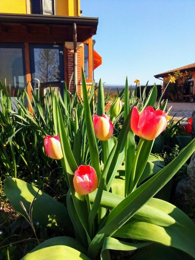 Agriturismo Fior Di Maggio Pescantina Eksteriør billede