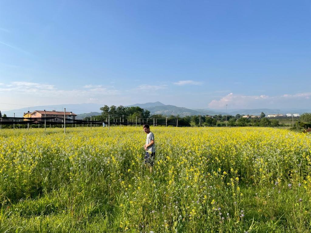 Agriturismo Fior Di Maggio Pescantina Eksteriør billede