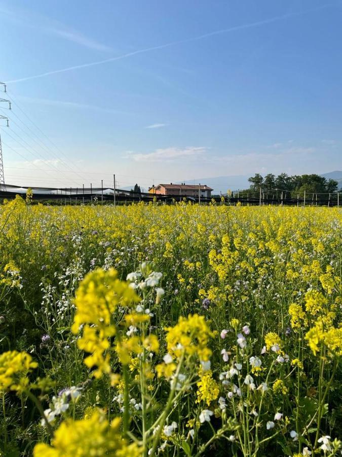 Agriturismo Fior Di Maggio Pescantina Eksteriør billede