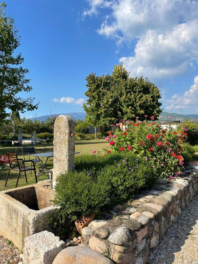 Agriturismo Fior Di Maggio Pescantina Eksteriør billede