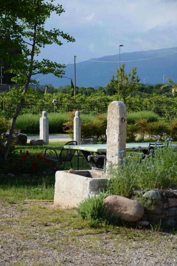 Agriturismo Fior Di Maggio Pescantina Eksteriør billede