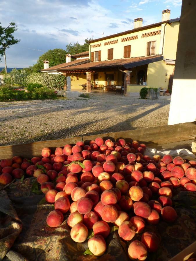 Agriturismo Fior Di Maggio Pescantina Eksteriør billede